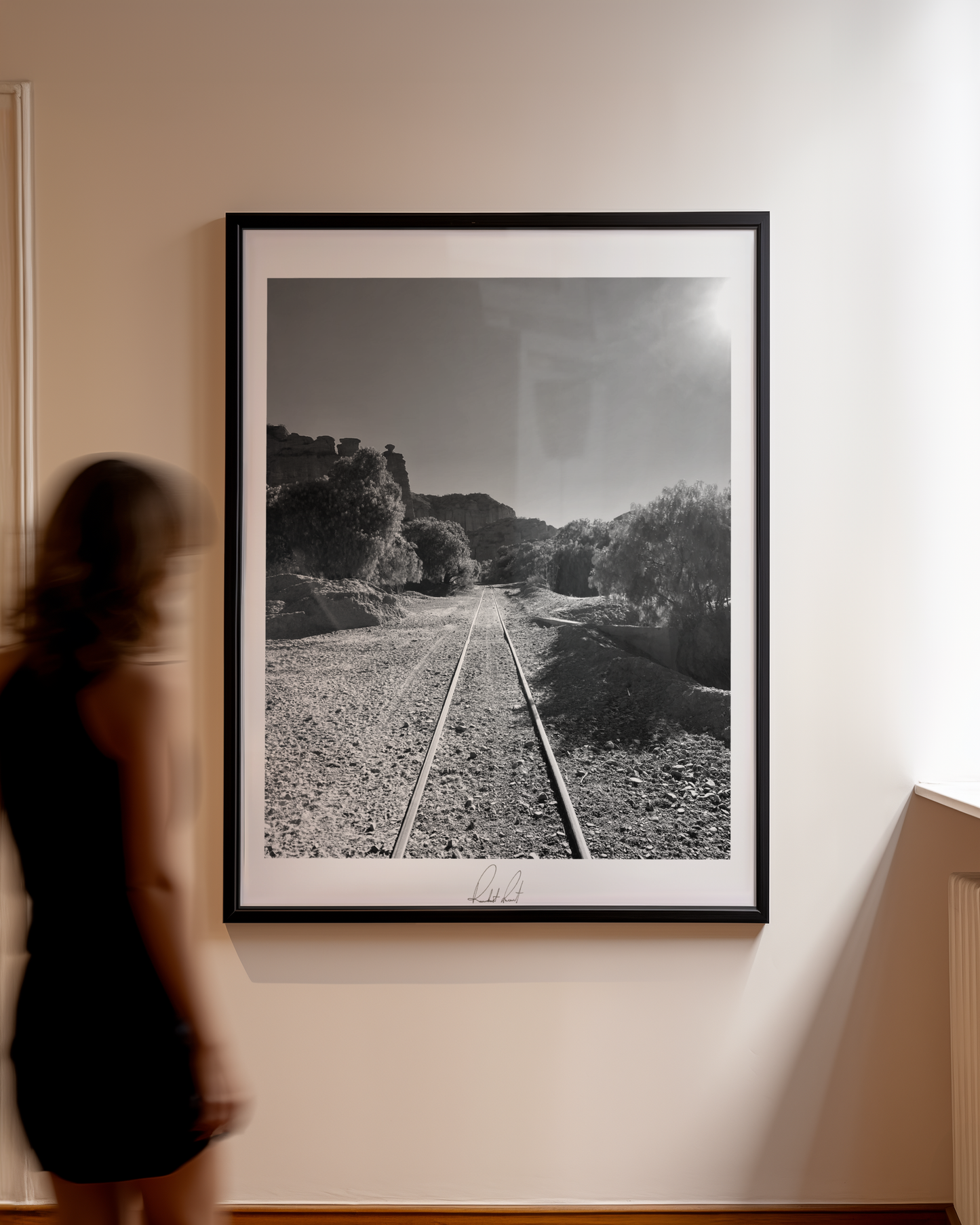 THE TRAIN TO NOWHERE - Professional, Photography Print