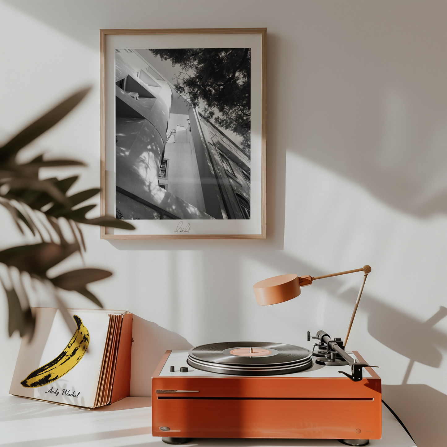 THE BUILDING OF SHADE - Professional Photography Print