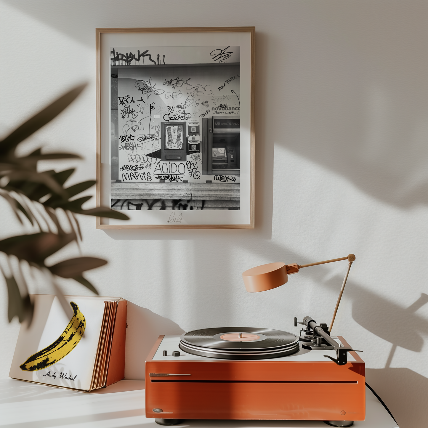 GRAFFITI EN DINERO - Professional Photography Print