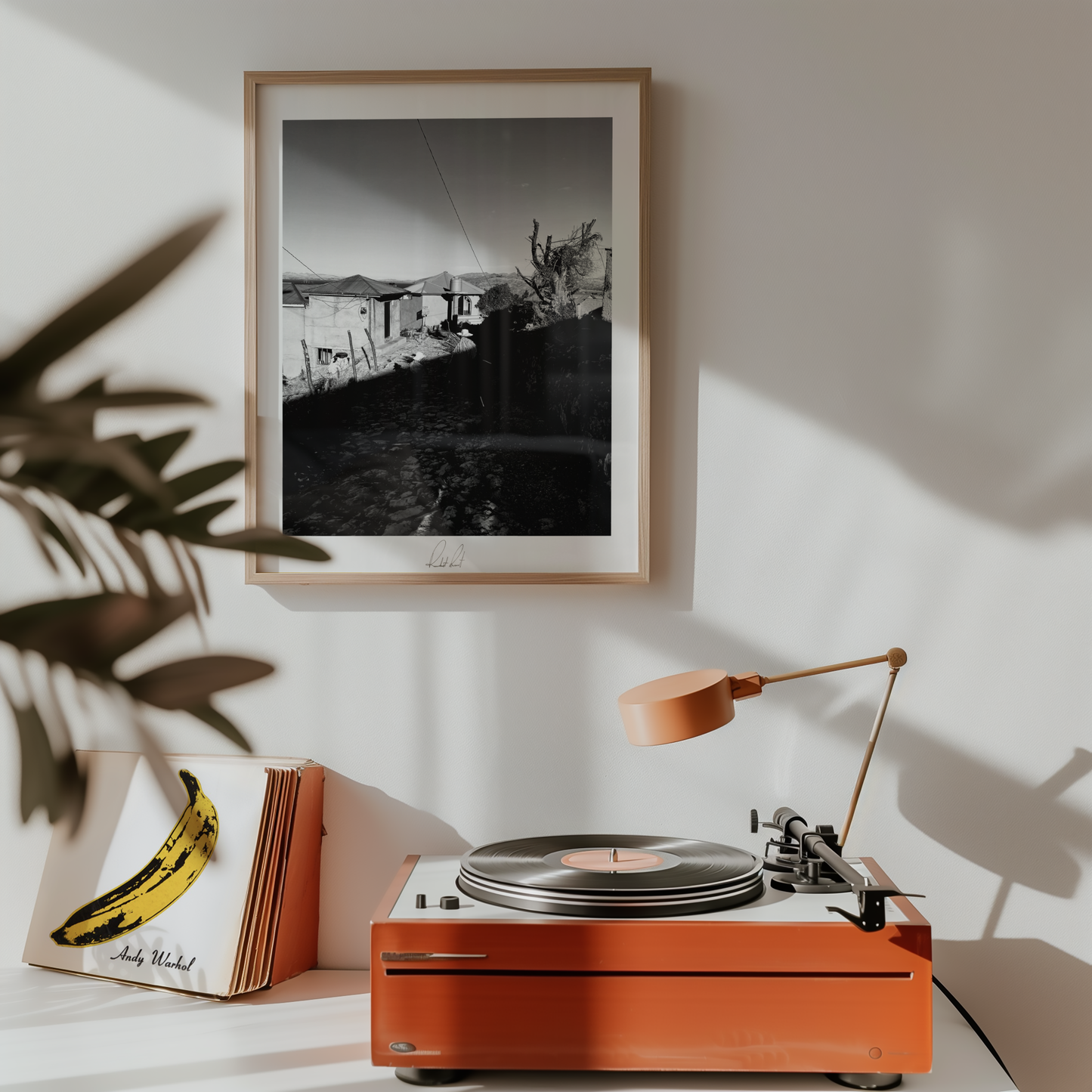 YIN AND YANG - Professional, Photography Print