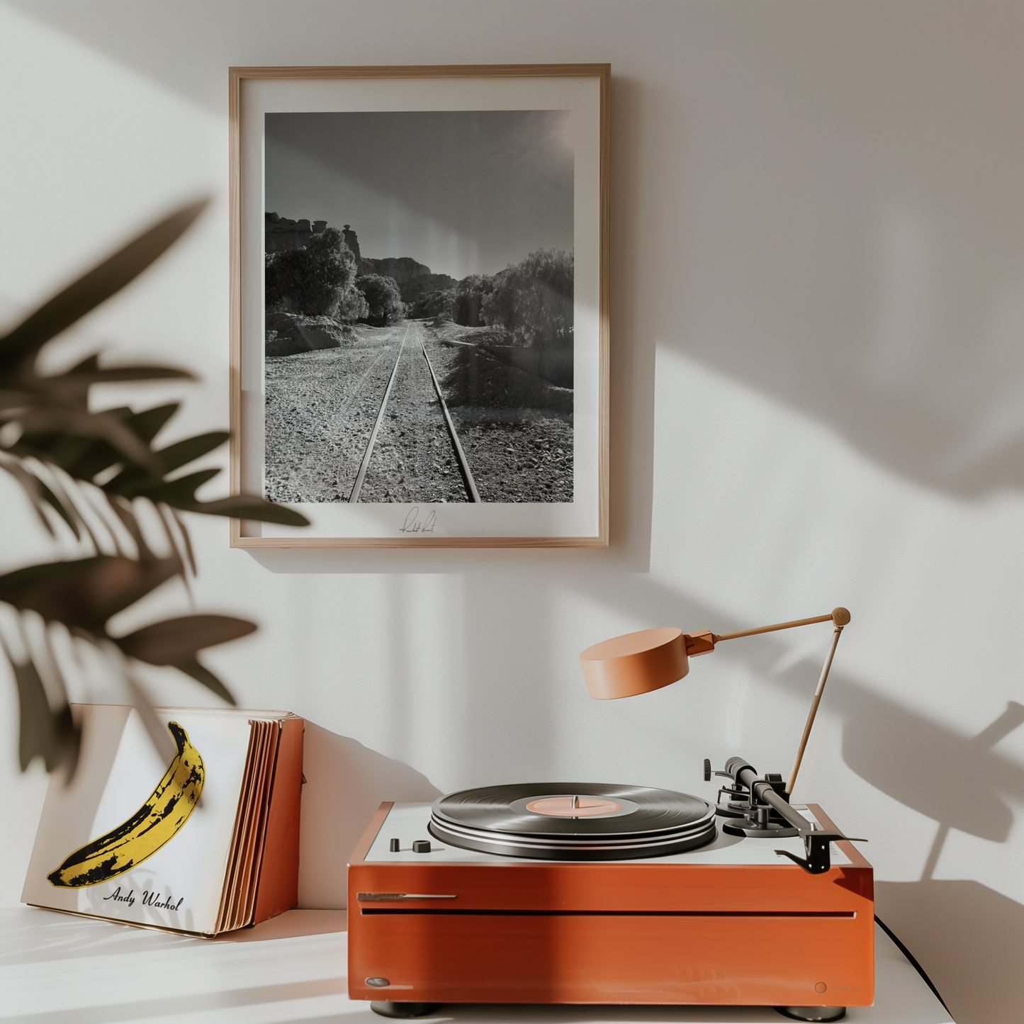 THE TRAIN TO NOWHERE - Professional, Photography Print