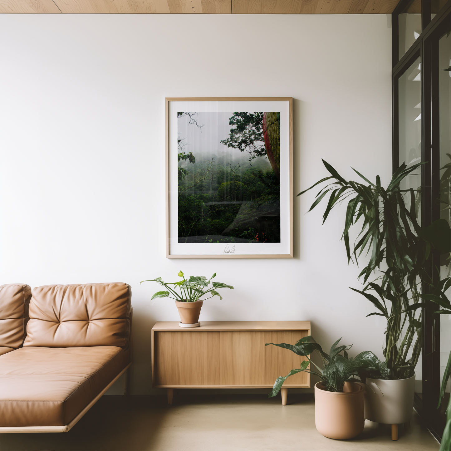 JUNGLE DEW - Professional Photography Print