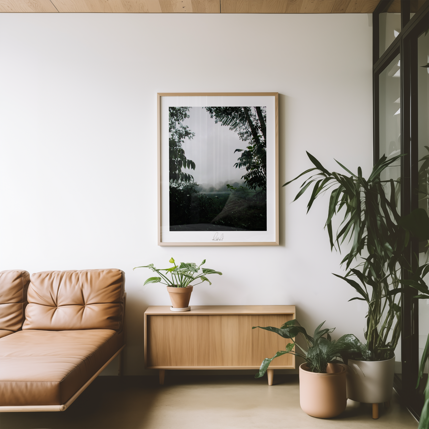 PEAKING THROUGH THE MIST - Professional Photography Print