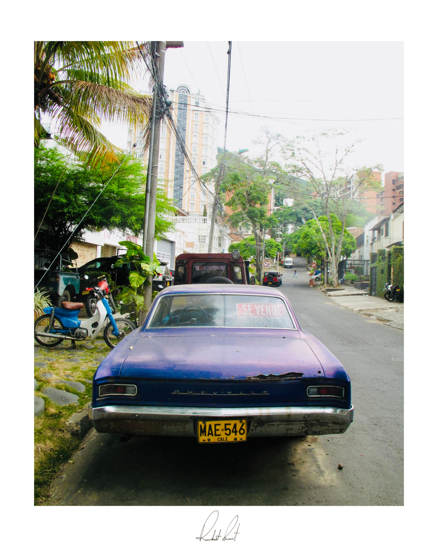 CHEVELLE - Professional Photography Print