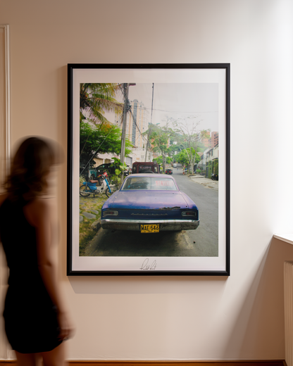 CHEVELLE - Professional Photography Print