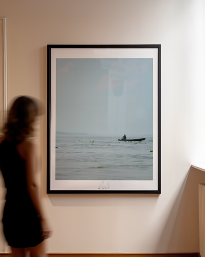 CARABUS - Professional Photography Print