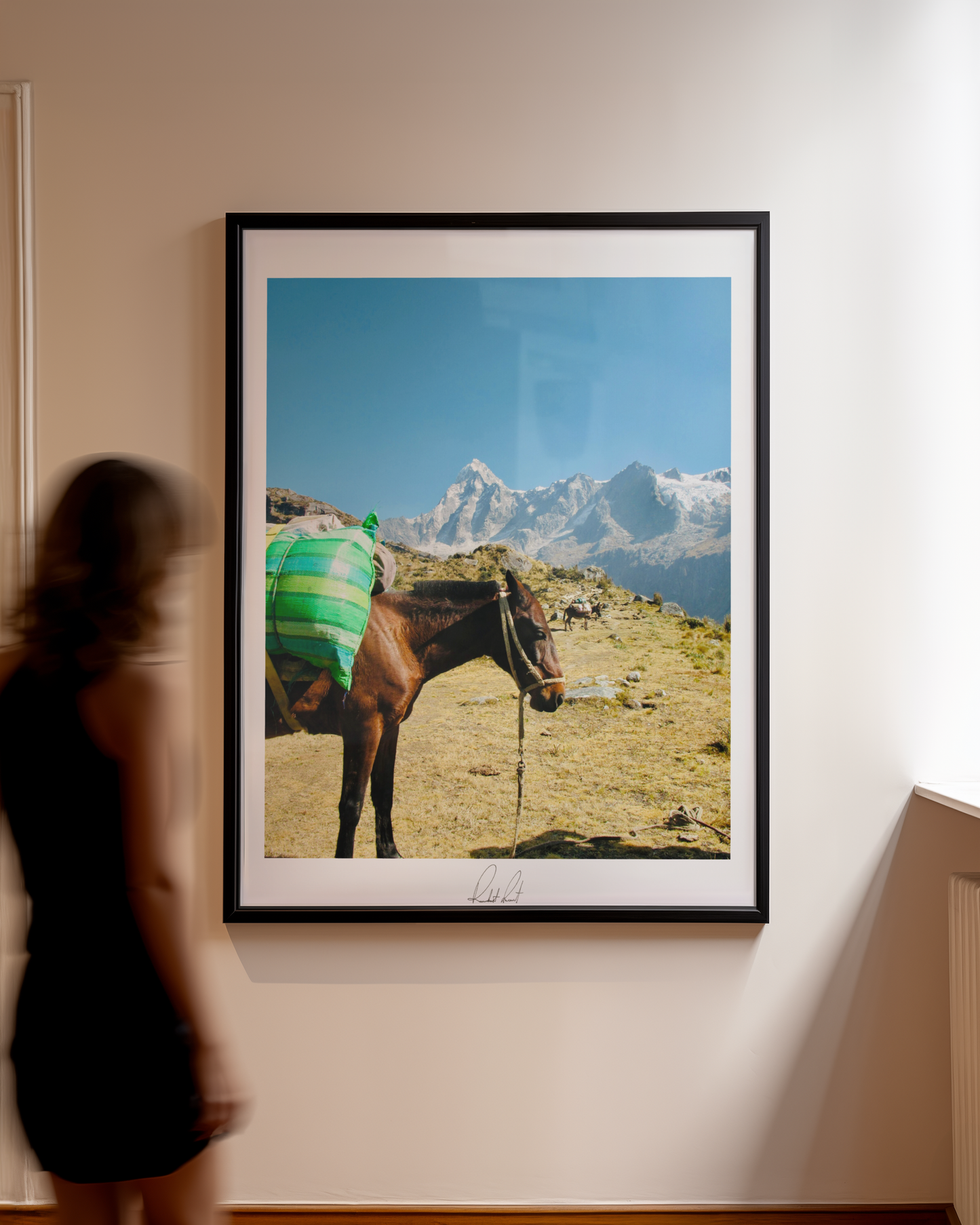 THE MOUNTAIN HORSE - Professional, Photography Print