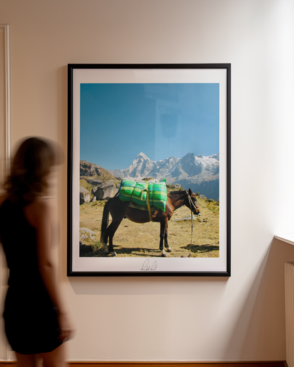 THE MOUNTAIN HORSE 2 - Professional, Photography Print
