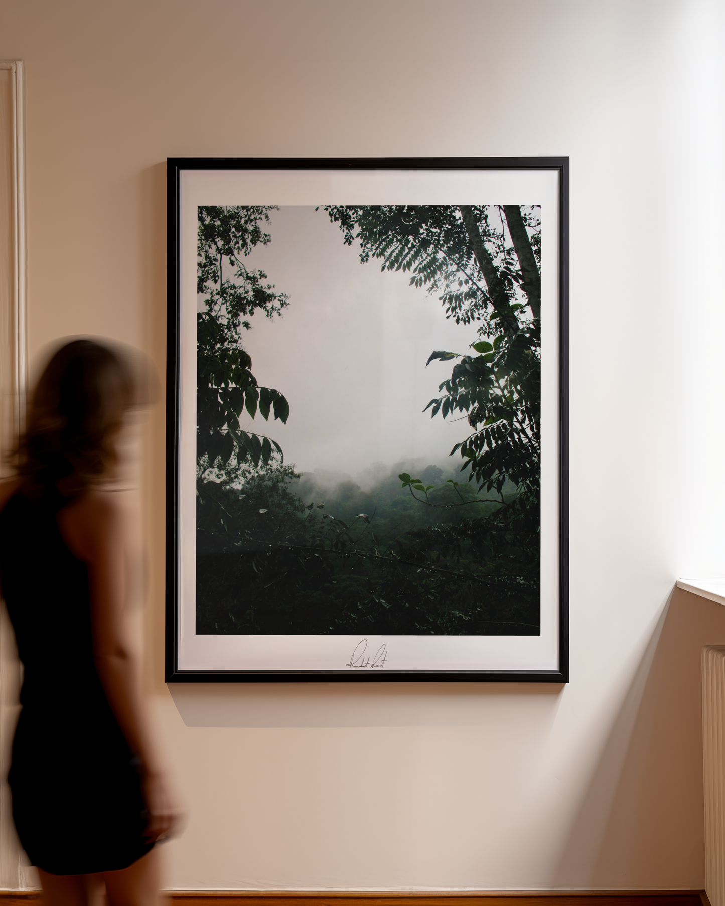 PEAKING THROUGH THE MIST - Professional Photography Print