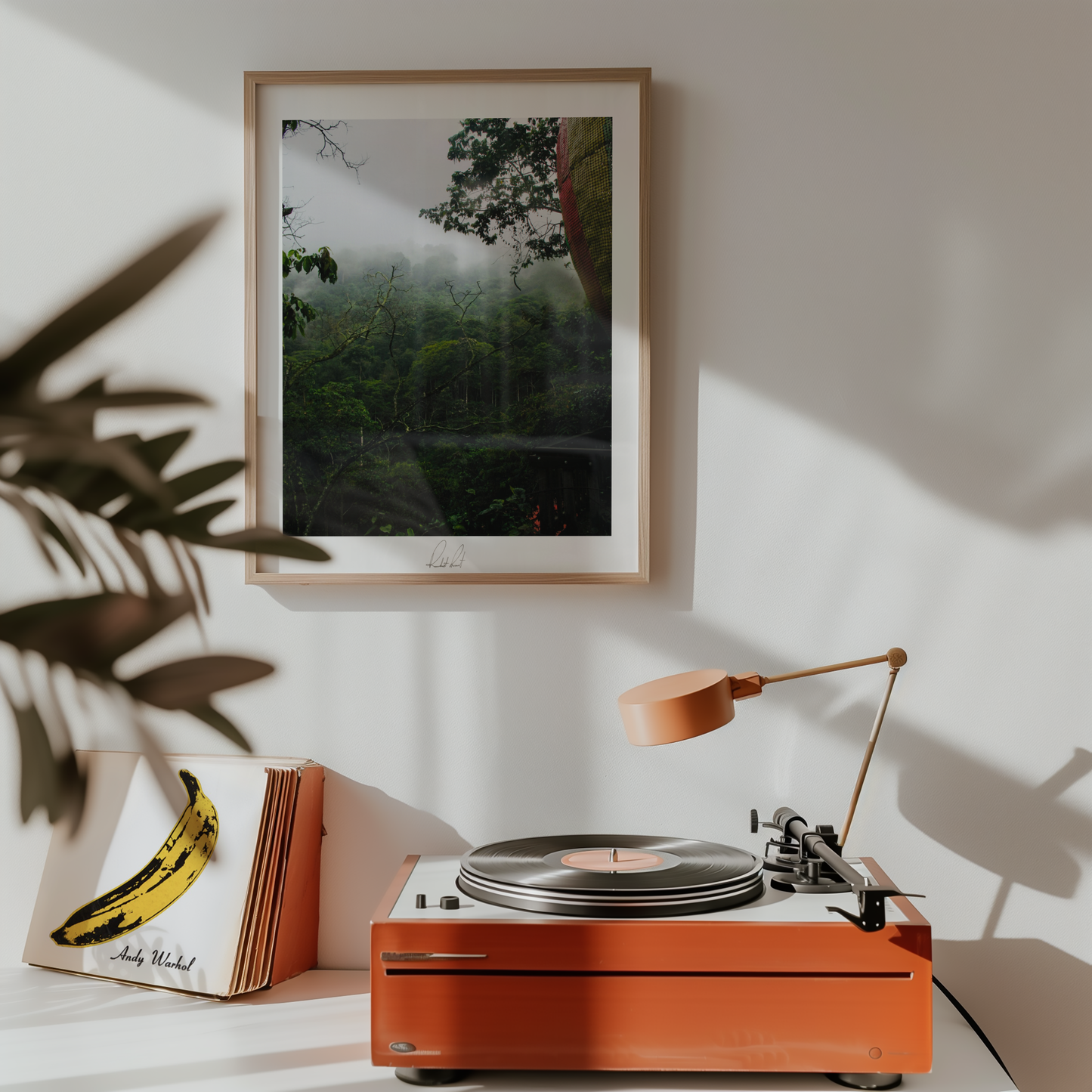 JUNGLE DEW - Professional Photography Print