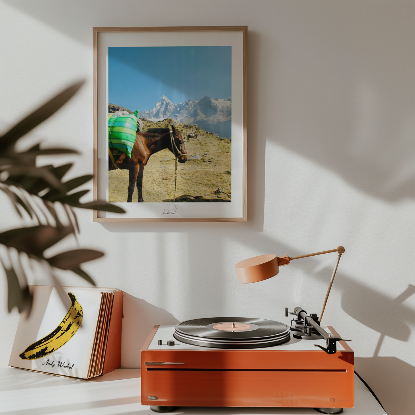 THE MOUNTAIN HORSE - Professional, Photography Print