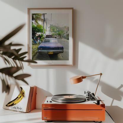 CHEVELLE - Professional Photography Print