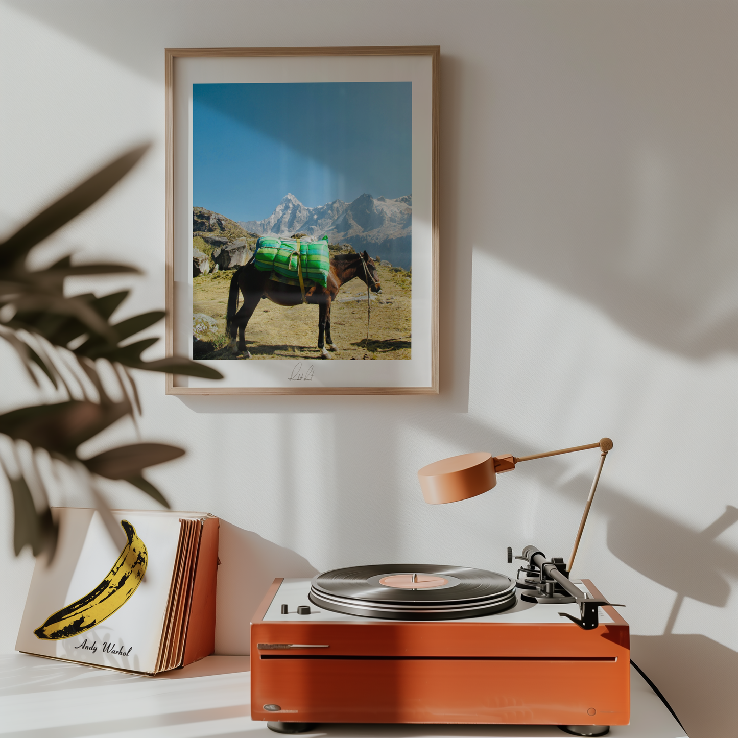 THE MOUNTAIN HORSE 2 - Professional, Photography Print