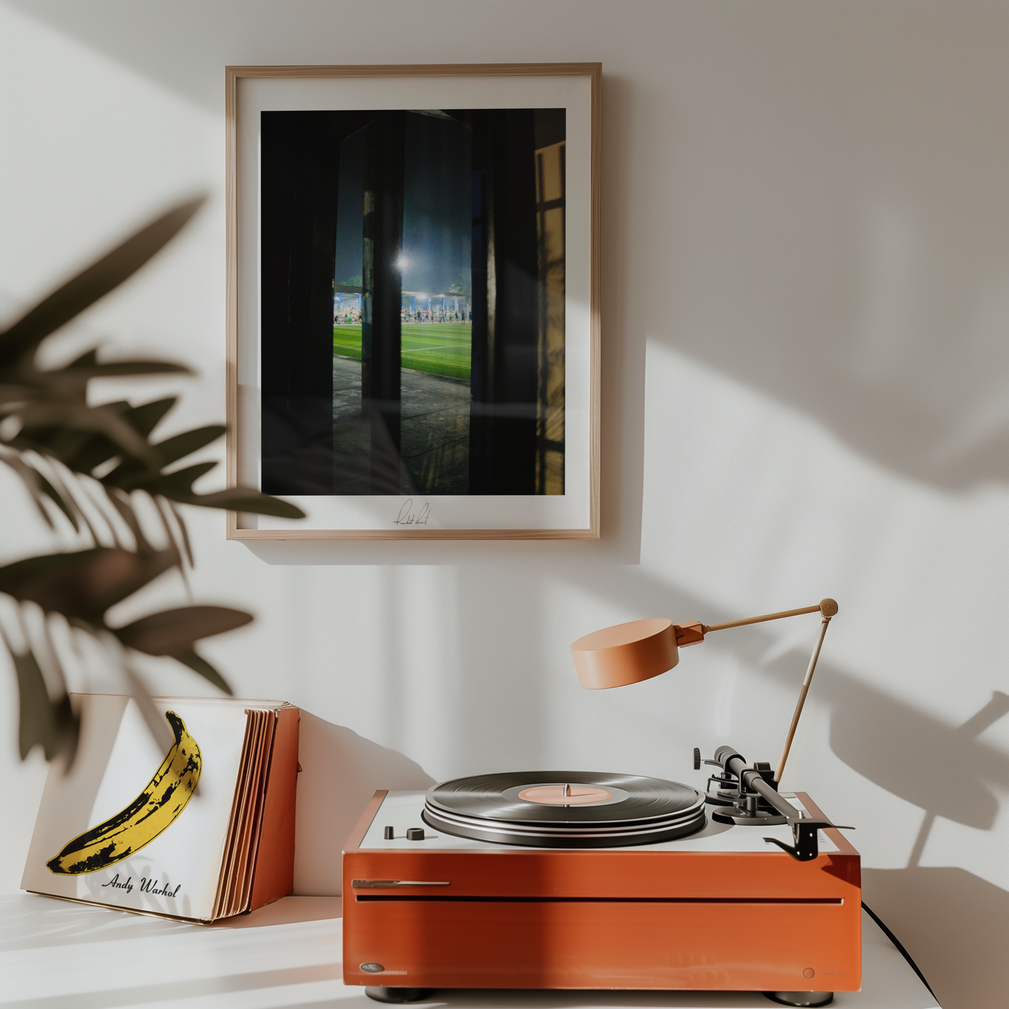 THE FLOODLIGHT FIELD - Professional Photography Print