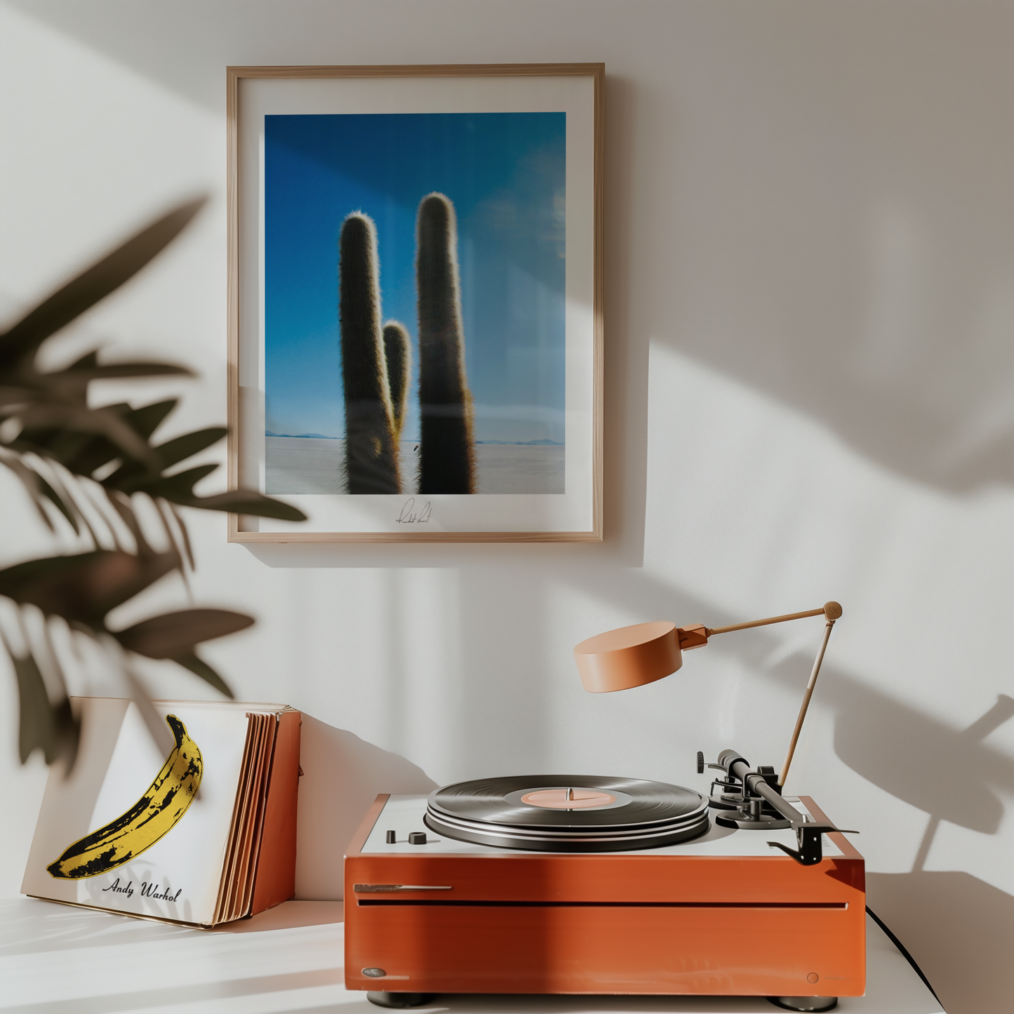 THE PRICKLY ONE - Professional, Photography Print
