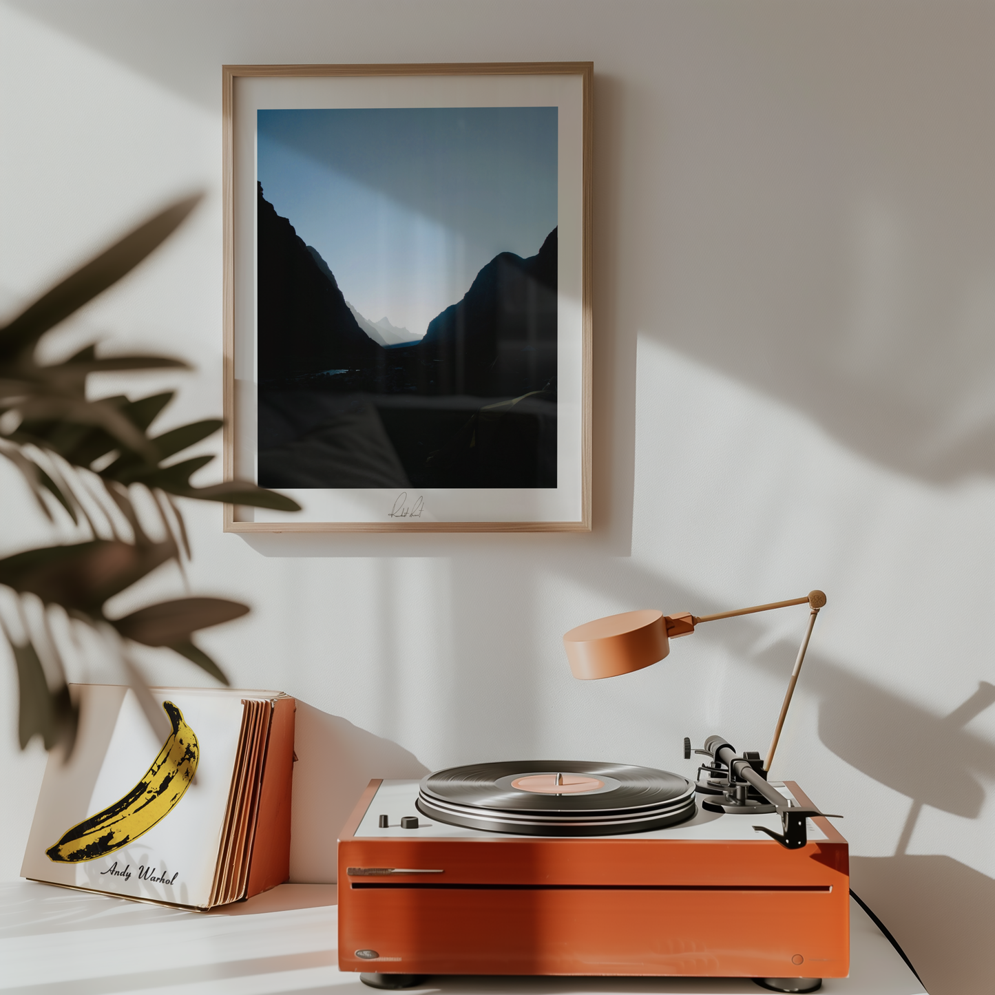 MORNING GLORY - Professional Photography Print