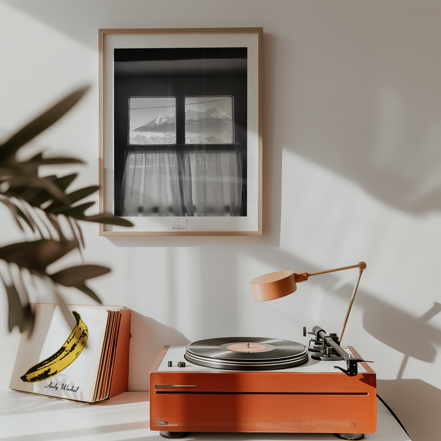 THROUGH THE WINDOW - Professional, Photography Print