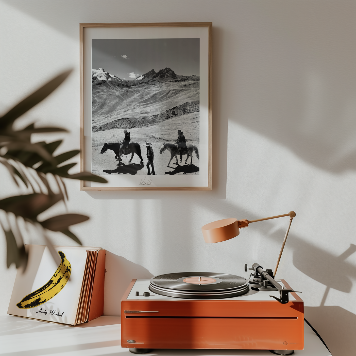 EQUESTRIANISM - Professional, Photography Print