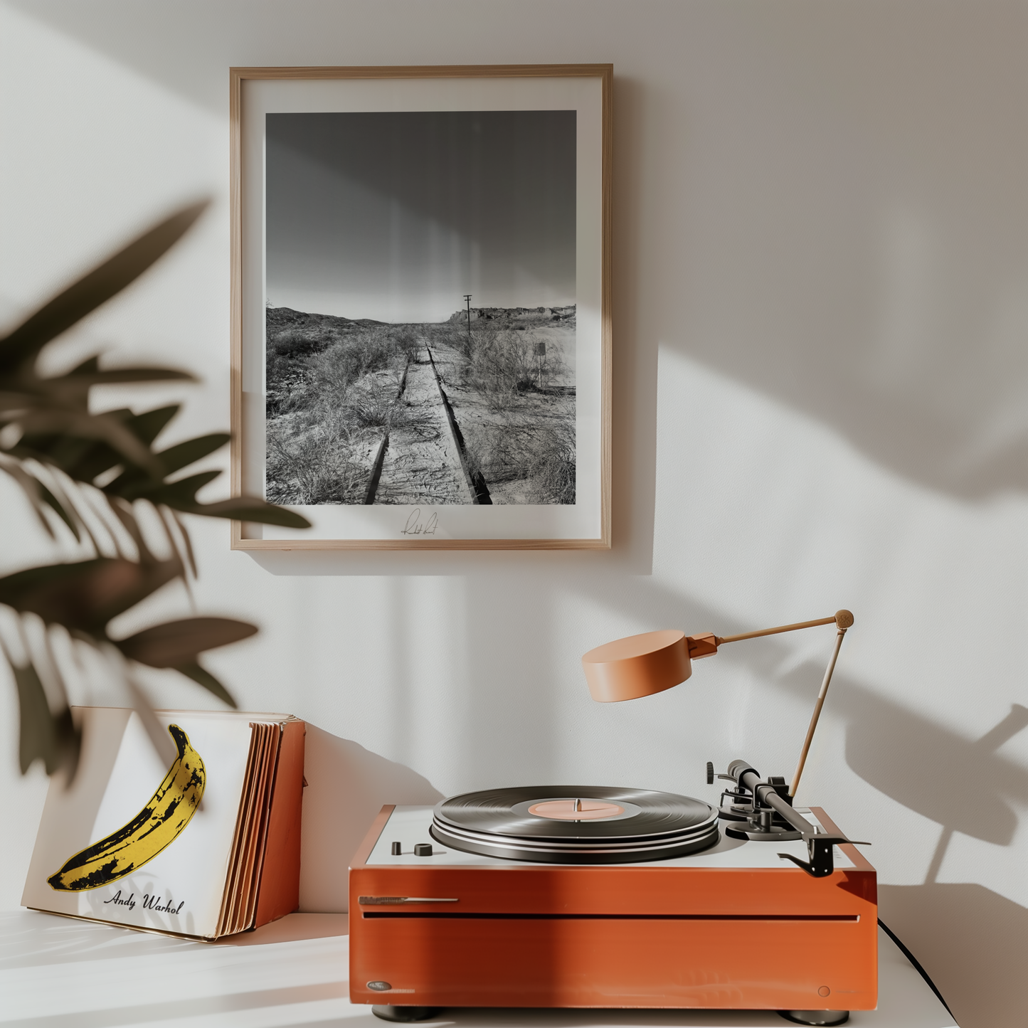 THE DESERT TRACK - Professional Photography Print