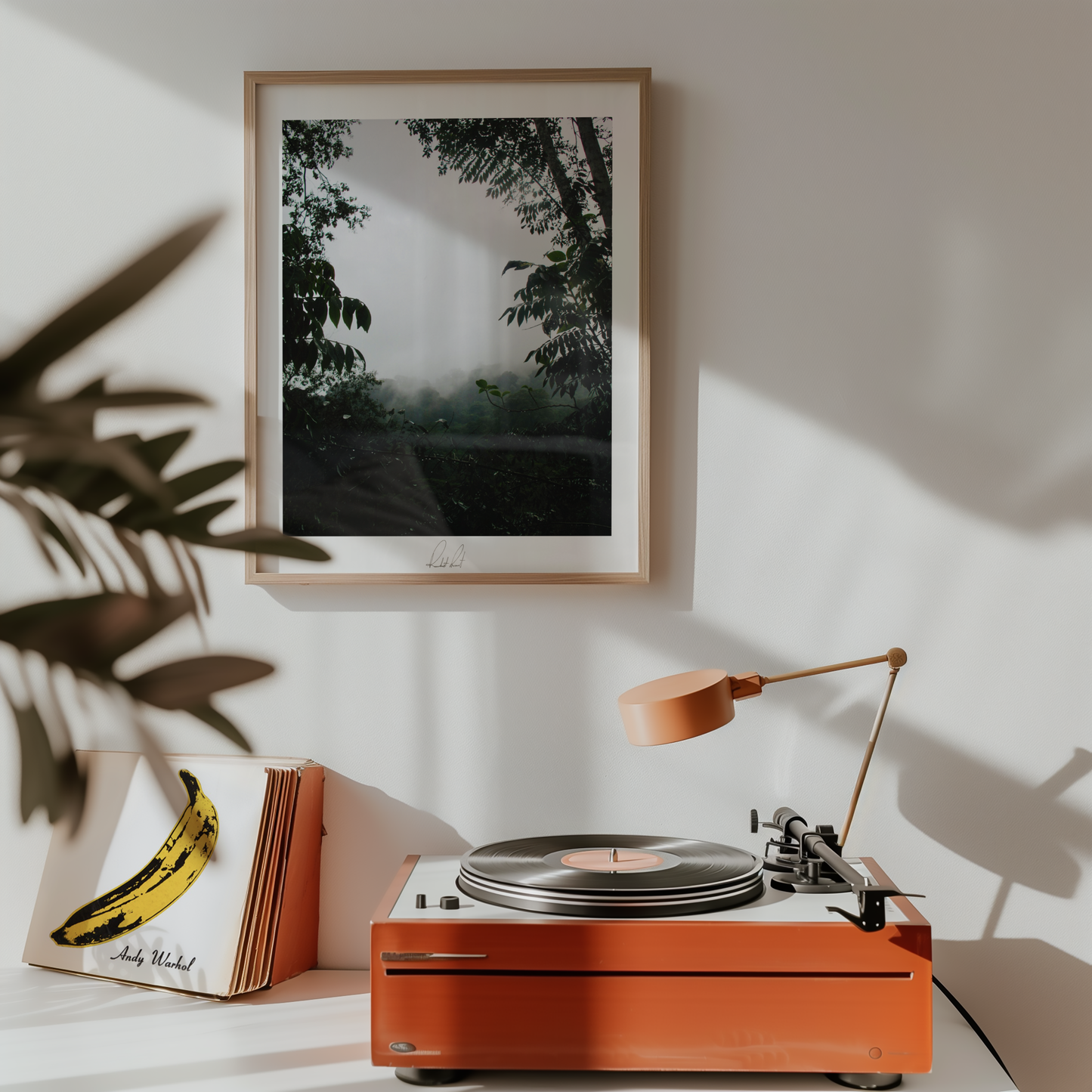 PEAKING THROUGH THE MIST - Professional Photography Print