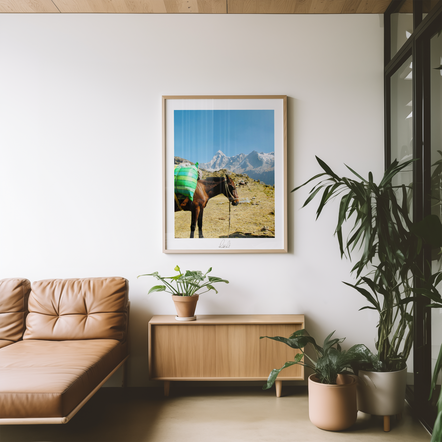 THE MOUNTAIN HORSE - Professional, Photography Print