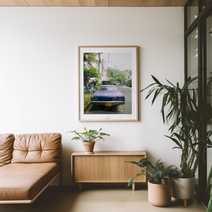 CHEVELLE - Professional Photography Print