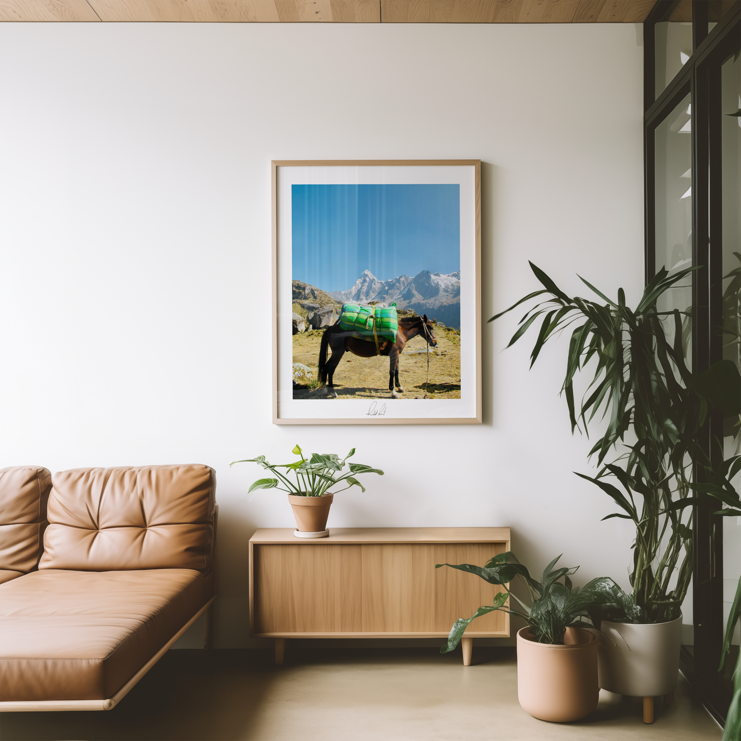 THE MOUNTAIN HORSE 2 - Professional, Photography Print