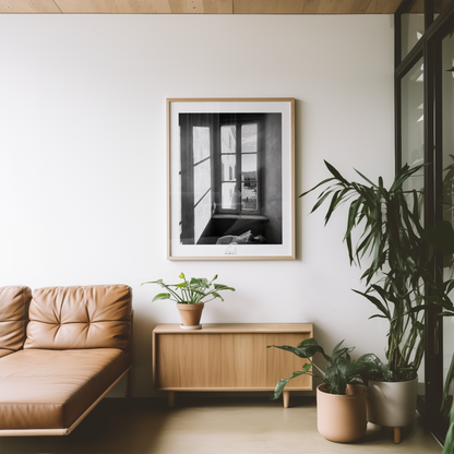 SHADOWS FROM FRANCE - Professional Photography Print