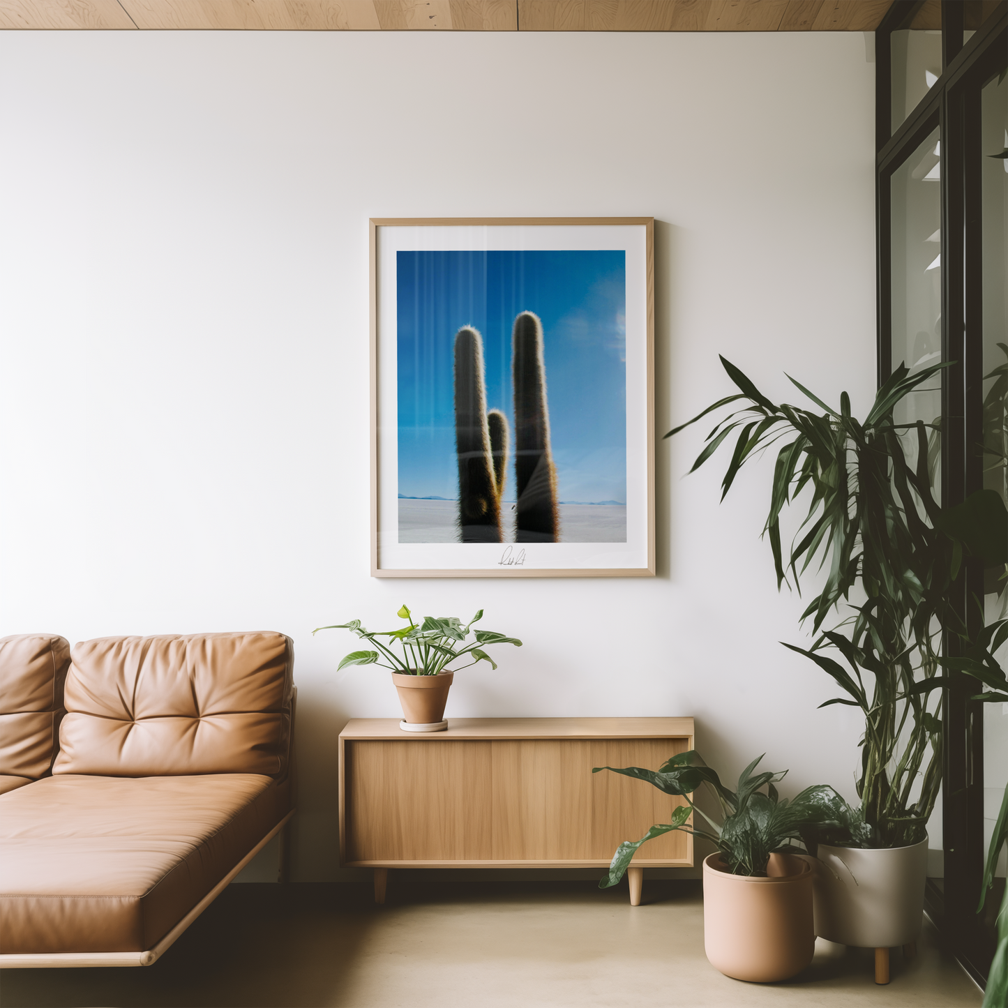 THE PRICKLY ONE - Professional, Photography Print