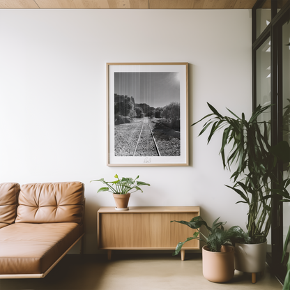 THE TRAIN TO NOWHERE - Professional, Photography Print