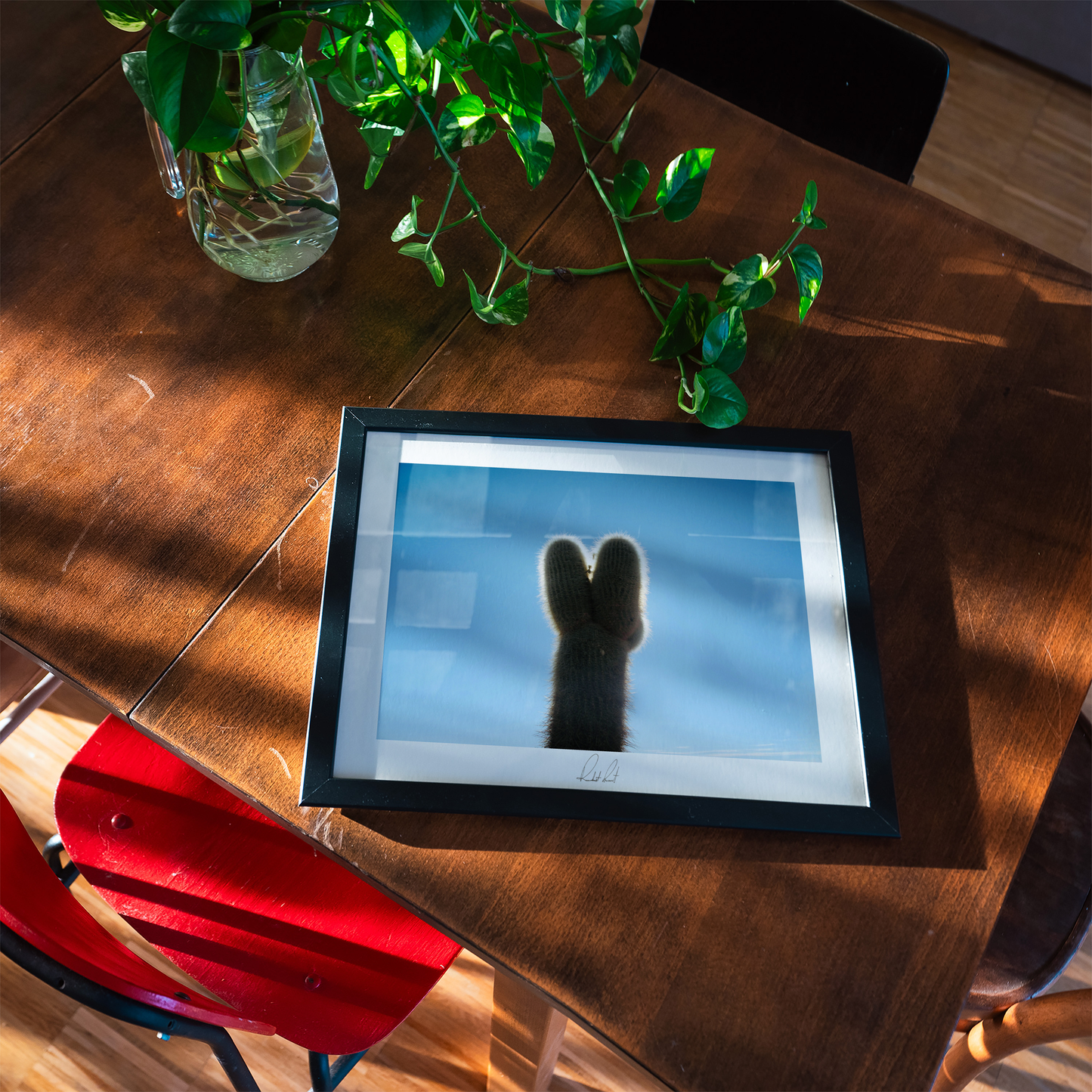 SUCCULENT - Professional, Photography Print