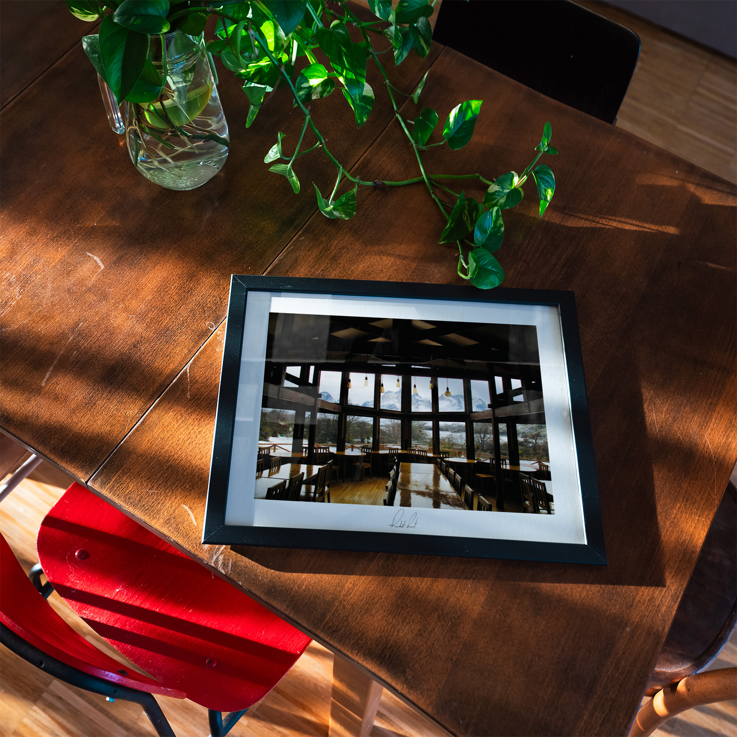 INTERNAL REFLECTION - Professional, Photography Print