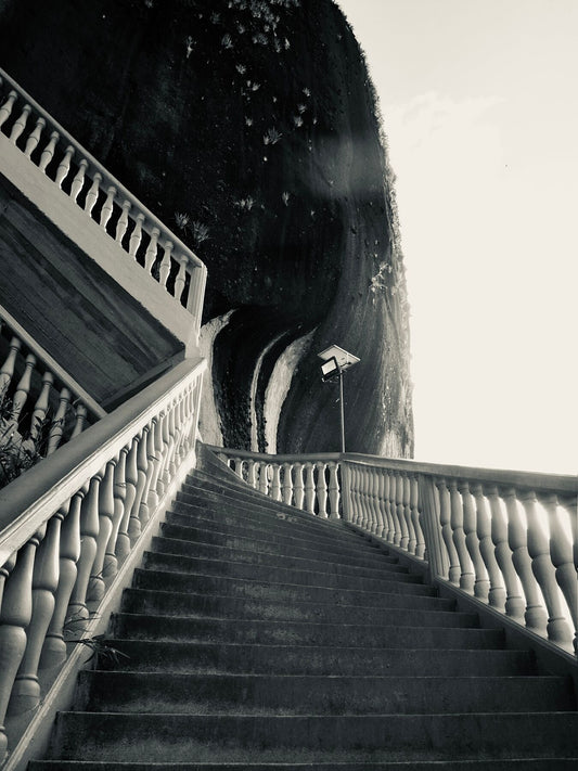 9146674