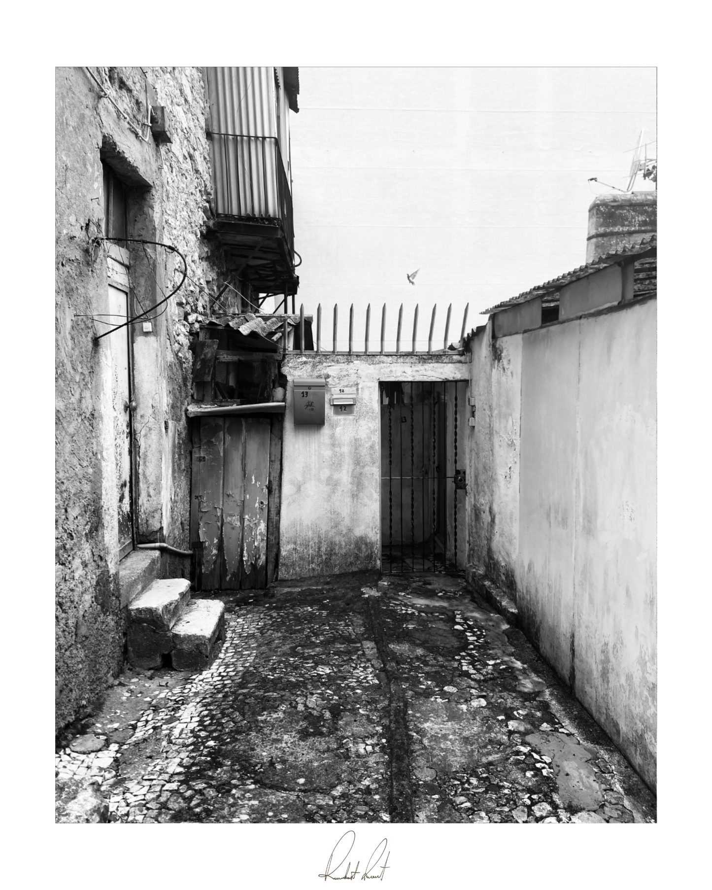 Copia de fotografía - Post 1 - principal (1) copia 5