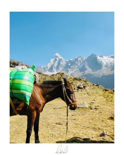 THE MOUNTAIN HORSE - Professional, Photography Print