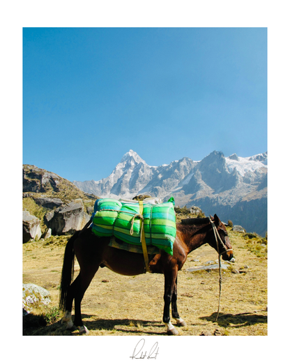 THE MOUNTAIN HORSE 2 - Professional, Photography Print