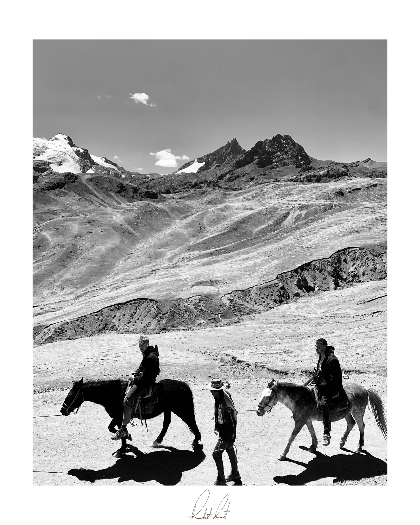 EQUESTRIANISM - Professional, Photography Print