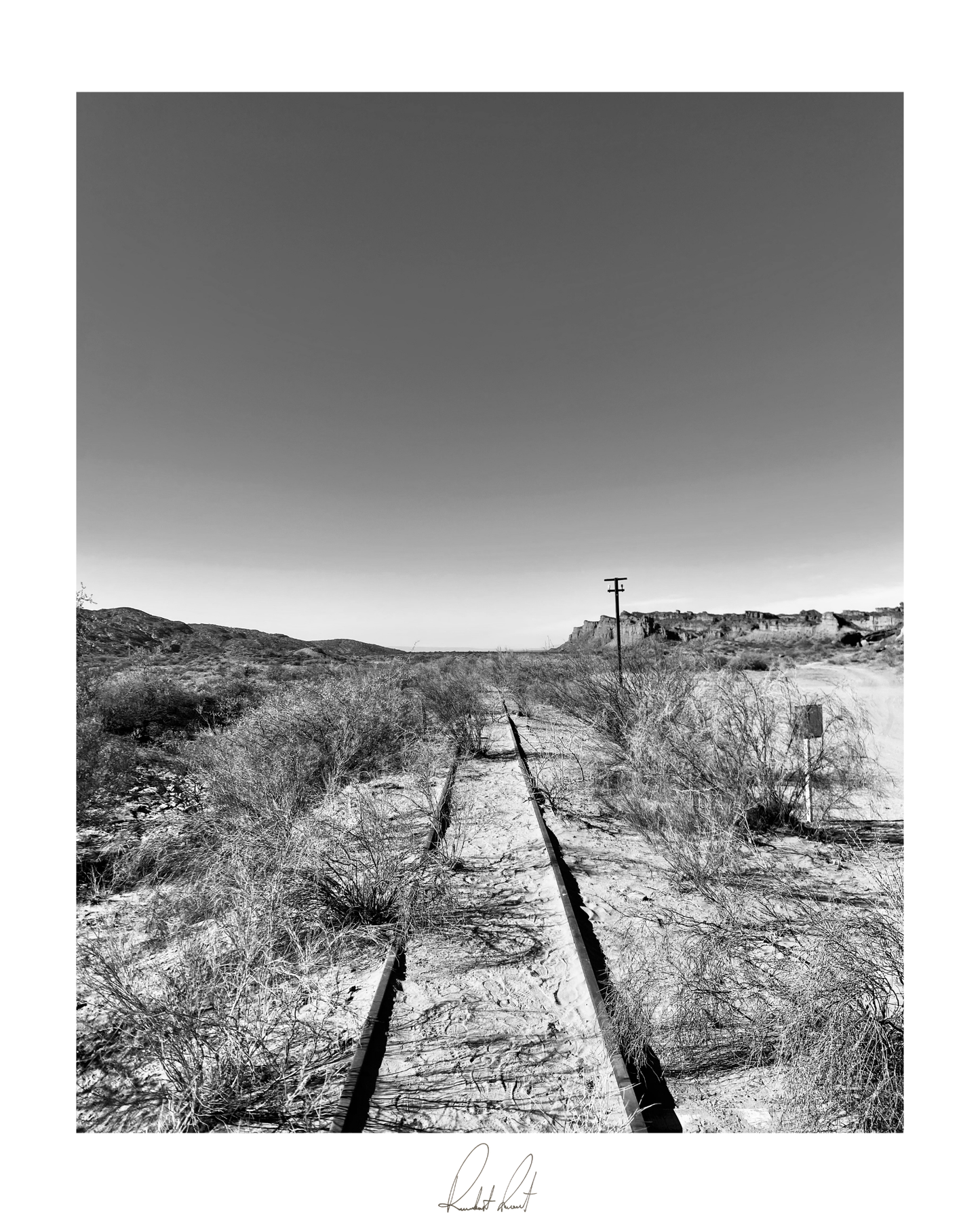 THE DESERT TRACK - Professional Photography Print